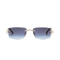 Monochromatic Sunglasses