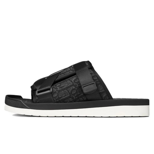 C.d Slides