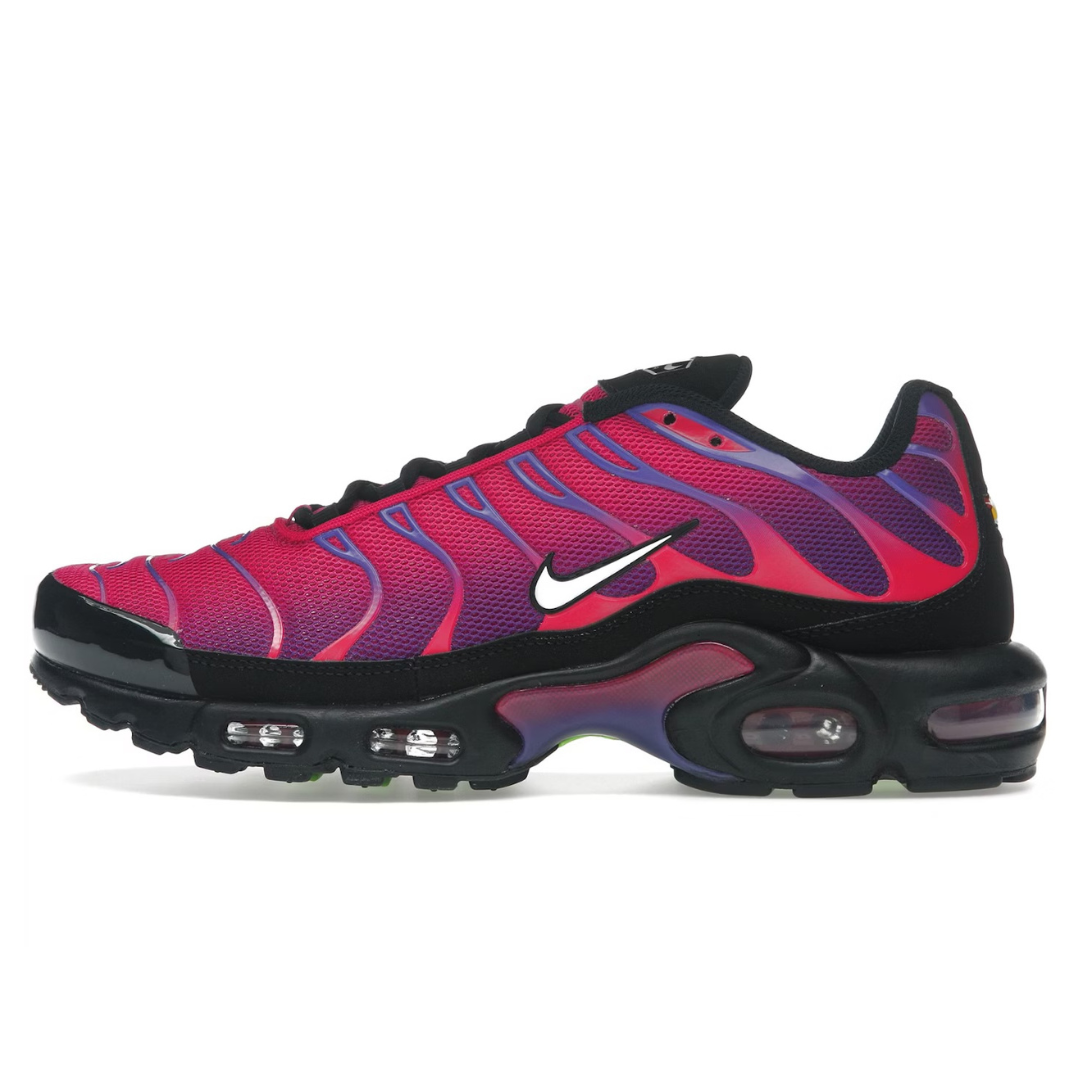 TN Pink Purple Black