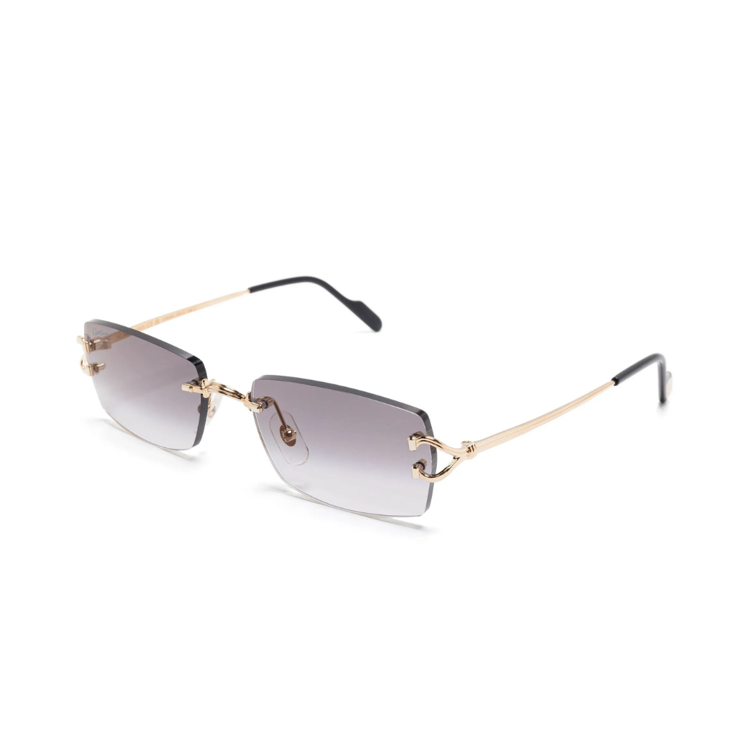 Monochromatic Sunglasses