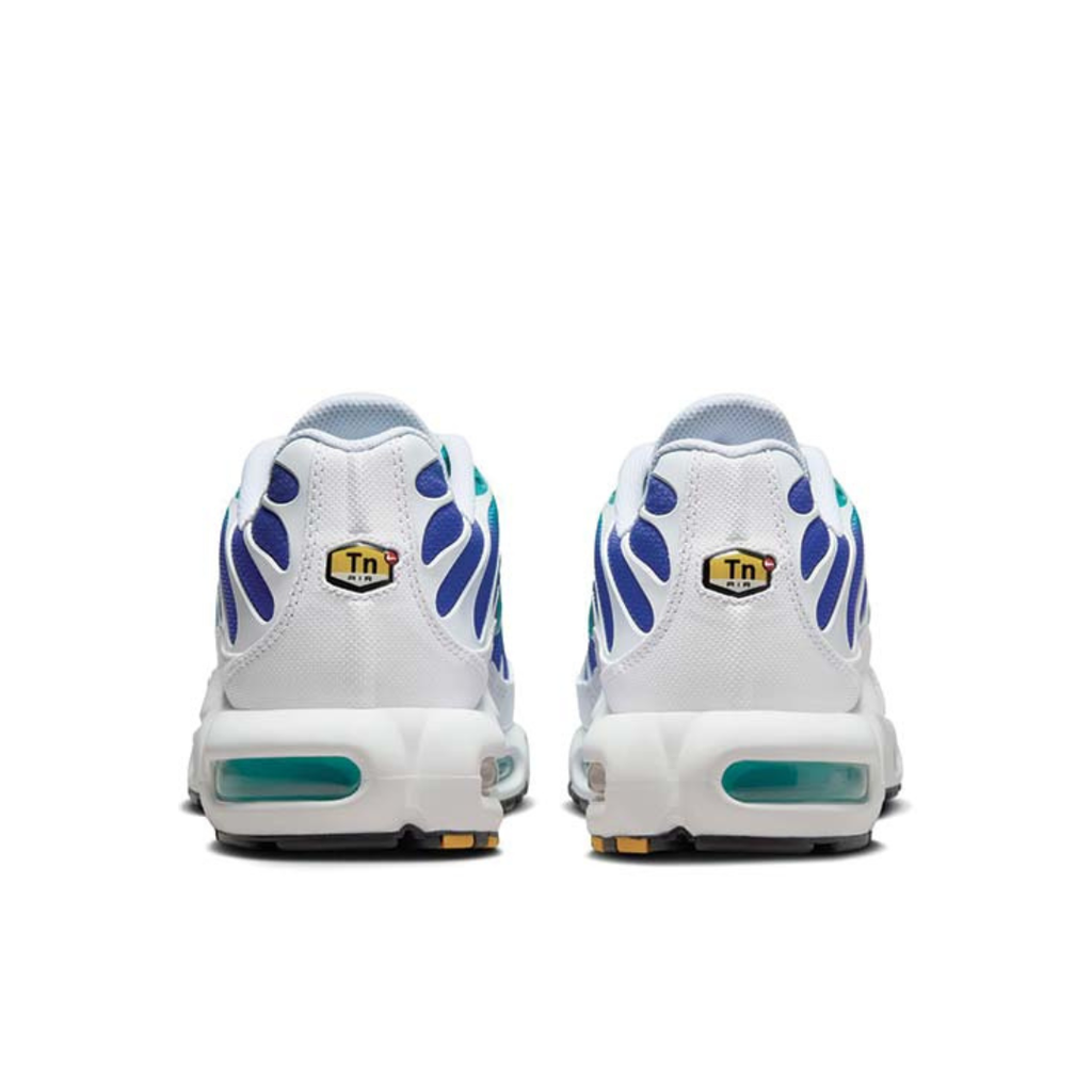 TN Aqua