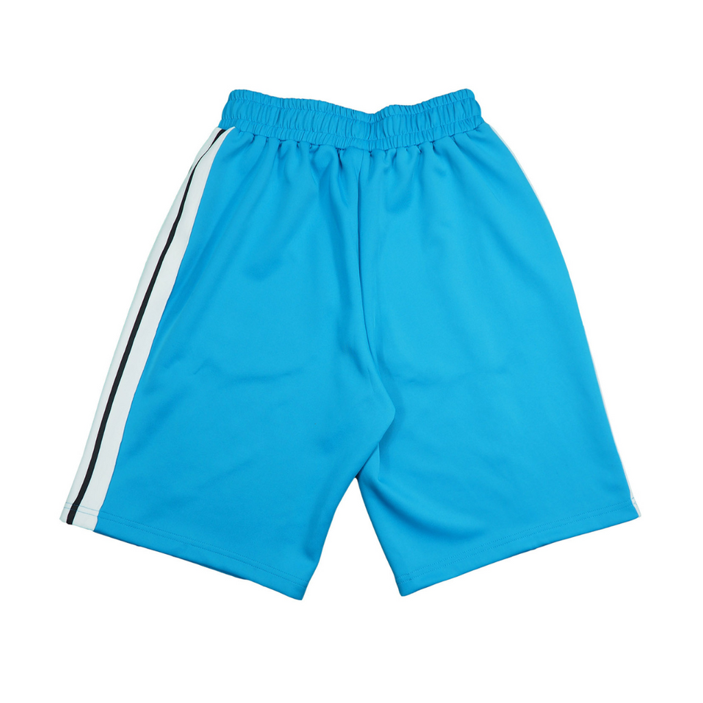 Palm Shorts