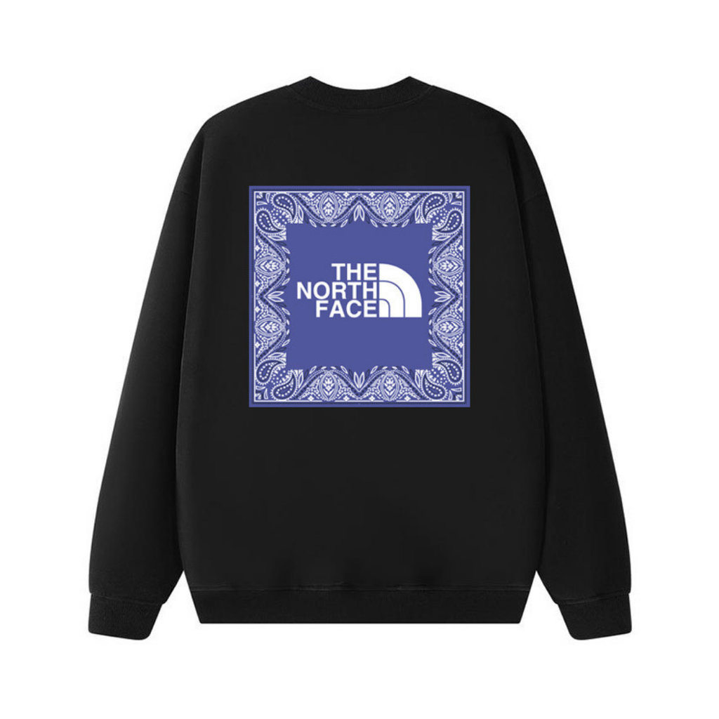 Tnf Monochromatic Hoodie