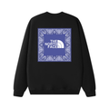 Tnf Monochromatic Hoodie