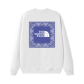 Tnf Monochromatic Hoodie