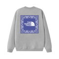 Tnf Monochromatic Hoodie